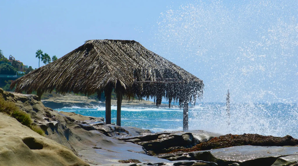 16 Unique Things to Do in San Diego, CA Nutmeg Bakery & Café